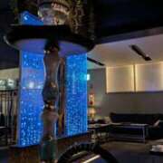 ヒメ日記 2025/01/23 15:53 投稿 ねむ Versailles