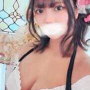 ヒメ日記 2025/04/09 11:19 投稿 ねむ Versailles