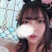 ヒメ日記 2025/04/13 11:09 投稿 ねむ Versailles