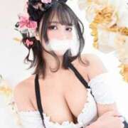 ヒメ日記 2025/04/22 09:39 投稿 ねむ Versailles