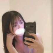 ヒメ日記 2025/04/27 10:00 投稿 ねむ Versailles