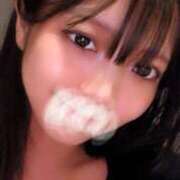 ヒメ日記 2025/08/07 13:41 投稿 ねむ Versailles