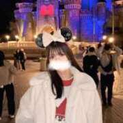 ヒメ日記 2025/11/20 10:10 投稿 ねむ Versailles