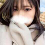 ヒメ日記 2025/11/29 09:02 投稿 ねむ Versailles