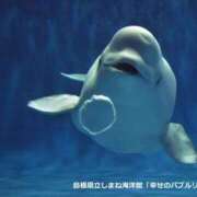 ヒメ日記 2025/01/28 09:54 投稿 ふたば 熟女デリヘル秘宝館Z