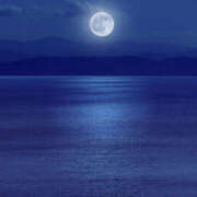 ヒメ日記 2025/02/11 22:30 投稿 ふたば 熟女デリヘル秘宝館Z