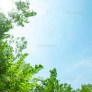 ヒメ日記 2025/02/18 07:57 投稿 ふたば 熟女デリヘル秘宝館Z