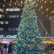 ヒメ日記 2025/12/25 13:19 投稿 しなの 熟女の風俗最終章 新潟店