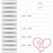 ヒメ日記 2024/12/27 12:44 投稿 のの 桃李（とうり）