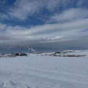 ヒメ日記 2025/01/24 09:34 投稿 のの 桃李（とうり）