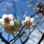 ヒメ日記 2025/02/26 13:24 投稿 のの 桃李（とうり）