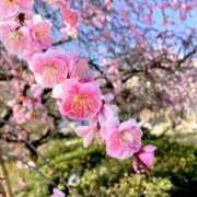 ヒメ日記 2025/03/13 20:14 投稿 のの 桃李（とうり）