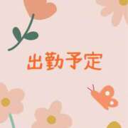 ヒメ日記 2025/03/27 21:21 投稿 のの 桃李（とうり）