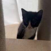 ヒメ日記 2025/05/27 22:24 投稿 のの 桃李（とうり）