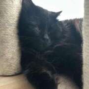 ヒメ日記 2025/06/12 11:06 投稿 のの 桃李（とうり）