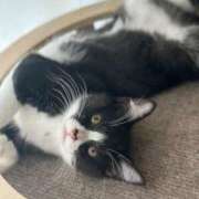 ヒメ日記 2025/08/01 17:34 投稿 のの 桃李（とうり）