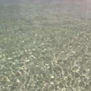 ヒメ日記 2025/09/04 11:04 投稿 のの 桃李（とうり）