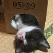 ヒメ日記 2025/10/25 13:14 投稿 のの 桃李（とうり）