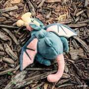 ヒメ日記 2025/11/01 09:44 投稿 のの 桃李（とうり）