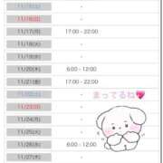 ヒメ日記 2025/11/12 20:14 投稿 のの 桃李（とうり）