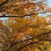 のの 早く会いたいな♡ 桃李（とうり）