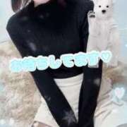 ヒメ日記 2024/12/23 15:04 投稿 澪-Rei- 愛のかたまり