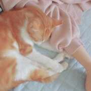 ヒメ日記 2025/05/12 17:28 投稿 りお One More 奥様　五反田店