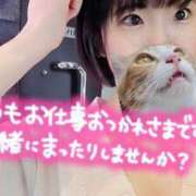 ヒメ日記 2025/05/19 18:57 投稿 りお One More 奥様　五反田店