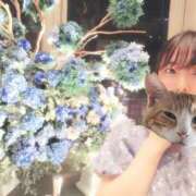 ヒメ日記 2025/06/12 12:11 投稿 りお One More 奥様　五反田店