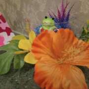 ヒメ日記 2025/08/06 11:37 投稿 りお One More 奥様　五反田店