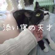 ヒメ日記 2025/11/15 20:27 投稿 りお One More 奥様　五反田店