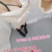 ヒメ日記 2025/11/23 12:45 投稿 りお One More 奥様　五反田店