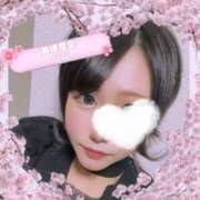 ヒメ日記 2025/04/15 17:41 投稿 新人ひな 石巻 奥様食堂