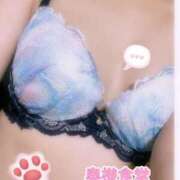 ヒメ日記 2025/06/03 21:01 投稿 新人ひな 石巻 奥様食堂