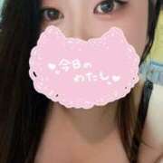 ヒメ日記 2025/10/15 19:40 投稿 かな 僕らのぽっちゃリーノin越谷