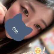 ヒメ日記 2025/11/11 21:01 投稿 かな 僕らのぽっちゃリーノin春日部