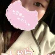 ヒメ日記 2025/11/30 21:01 投稿 かな 僕らのぽっちゃリーノin春日部