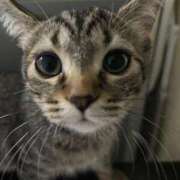 ヒメ日記 2024/12/29 16:35 投稿 安藤　ちとせ しこたま奥様 札幌店