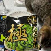 ヒメ日記 2024/12/30 17:49 投稿 安藤　ちとせ しこたま奥様 札幌店