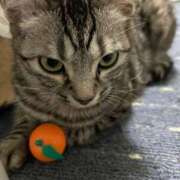 ヒメ日記 2025/01/07 10:37 投稿 安藤　ちとせ しこたま奥様 札幌店