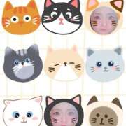 ヒメ日記 2025/02/28 11:38 投稿 アズサ Club 妻