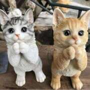 ヒメ日記 2025/03/10 23:16 投稿 アズサ Club 妻