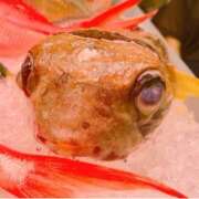 ヒメ日記 2025/03/17 08:51 投稿 アズサ Club 妻