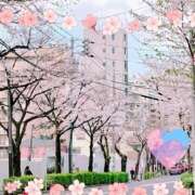 ヒメ日記 2025/03/30 19:44 投稿 アズサ Club 妻