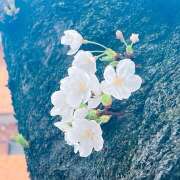 ヒメ日記 2025/04/07 08:25 投稿 アズサ Club 妻