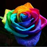 ヒメ日記 2025/04/16 23:28 投稿 アズサ Club 妻