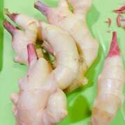 ヒメ日記 2025/05/05 10:58 投稿 アズサ Club 妻