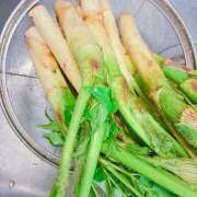 ヒメ日記 2025/05/26 14:58 投稿 アズサ Club 妻