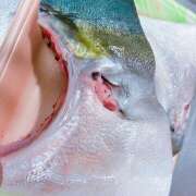 ヒメ日記 2025/06/30 15:24 投稿 アズサ Club 妻