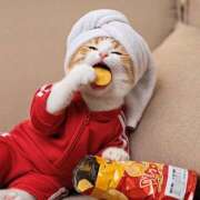 ヒメ日記 2025/07/19 22:29 投稿 アズサ Club 妻